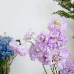 花の命、長い？短い？？花を長持ちさせるには②