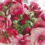 自分でやってみよう！！花の水揚げについて「基本編」