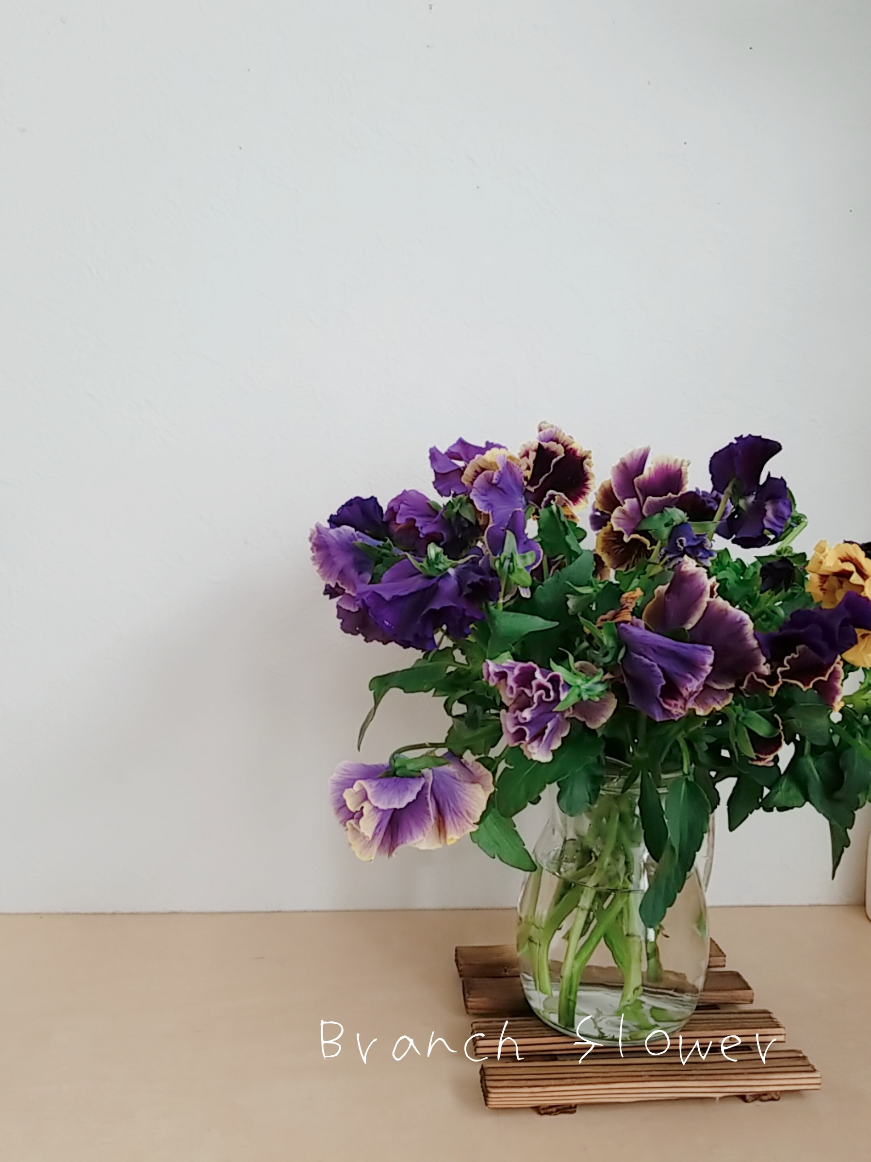 お花の選び方　　花言葉で選ぶとしたら？？