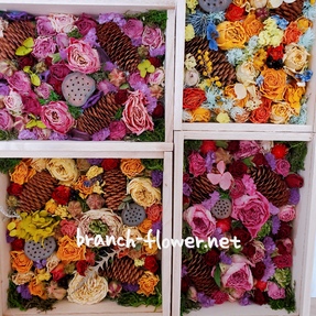 ドライフラワー