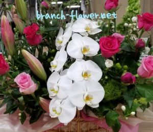 フラワーアレンジメント