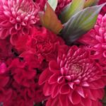 2022！宜しくお願い致します。