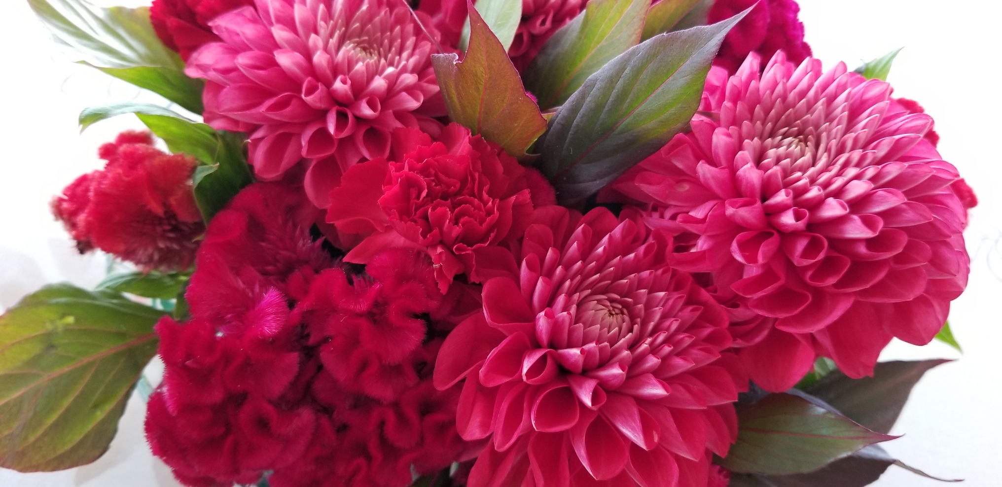 2022！宜しくお願い致します。